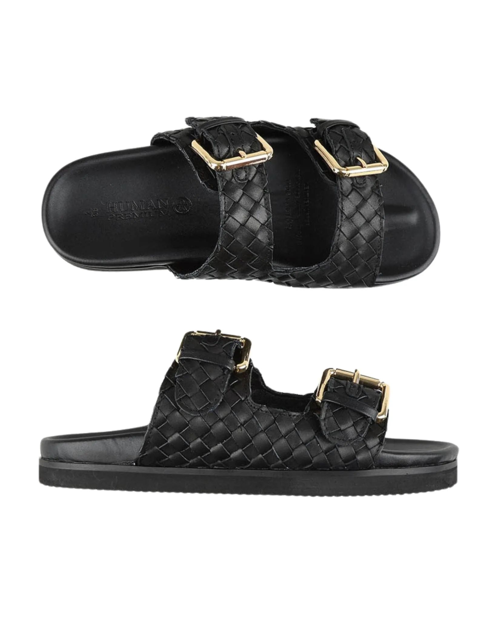 Blair Slides